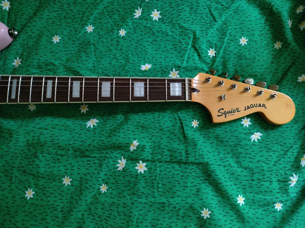 IMG20251016115028.jpg