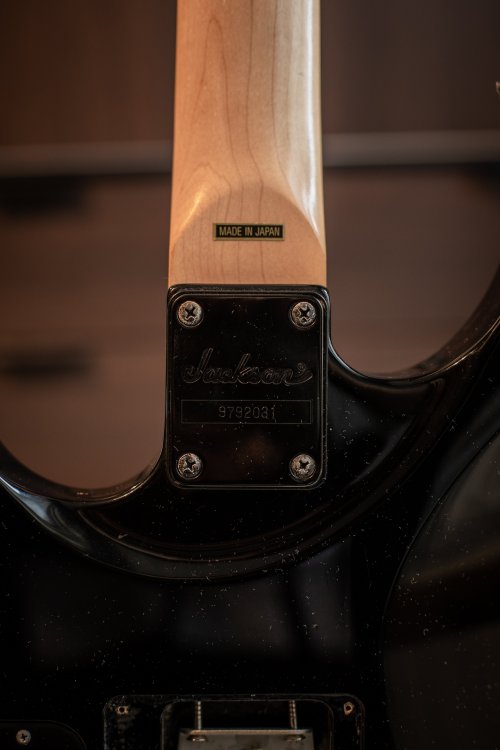 C86A2610.jpg