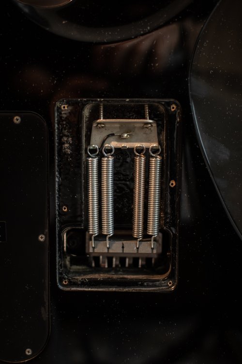 C86A2614.jpg